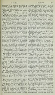 Image of the Page - 313 - in Lateinisch-Deutsches und Deutsch-Lateinisches Schul-Wörterbuch - Lateinisch-Deutscher Theil