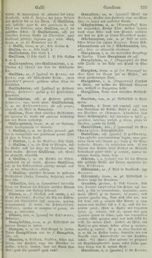 Image of the Page - 325 - in Lateinisch-Deutsches und Deutsch-Lateinisches Schul-Wörterbuch - Lateinisch-Deutscher Theil