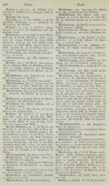 Image of the Page - 486 - in Lateinisch-Deutsches und Deutsch-Lateinisches Schul-Wörterbuch - Lateinisch-Deutscher Theil