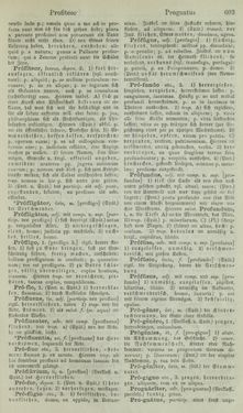 Bild der Seite - 603 - in Lateinisch-Deutsches und Deutsch-Lateinisches Schul-Wörterbuch - Lateinisch-Deutscher Theil