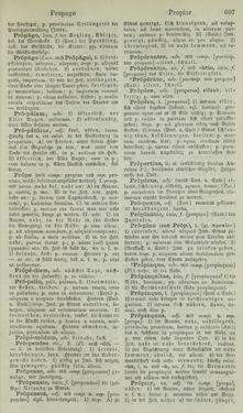 Bild der Seite - 607 - in Lateinisch-Deutsches und Deutsch-Lateinisches Schul-Wörterbuch - Lateinisch-Deutscher Theil