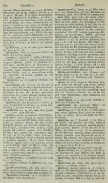 Image of the Page - 624 - in Lateinisch-Deutsches und Deutsch-Lateinisches Schul-Wörterbuch - Lateinisch-Deutscher Theil