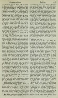 Image of the Page - 625 - in Lateinisch-Deutsches und Deutsch-Lateinisches Schul-Wörterbuch - Lateinisch-Deutscher Theil