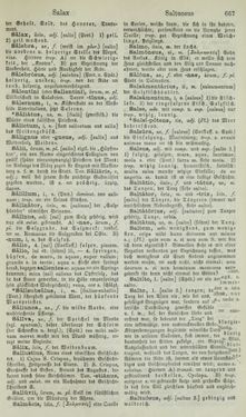 Image of the Page - 667 - in Lateinisch-Deutsches und Deutsch-Lateinisches Schul-Wörterbuch - Lateinisch-Deutscher Theil