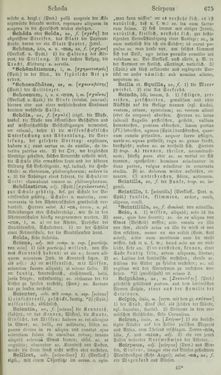 Image of the Page - 675 - in Lateinisch-Deutsches und Deutsch-Lateinisches Schul-Wörterbuch - Lateinisch-Deutscher Theil
