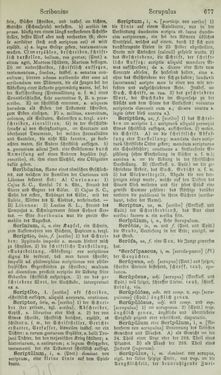 Image of the Page - 677 - in Lateinisch-Deutsches und Deutsch-Lateinisches Schul-Wörterbuch - Lateinisch-Deutscher Theil