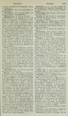 Image of the Page - 699 - in Lateinisch-Deutsches und Deutsch-Lateinisches Schul-Wörterbuch - Lateinisch-Deutscher Theil