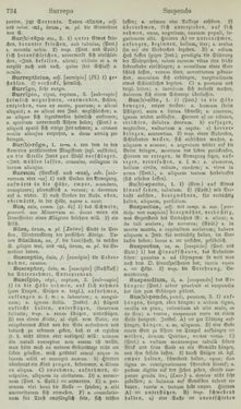 Image of the Page - 734 - in Lateinisch-Deutsches und Deutsch-Lateinisches Schul-Wörterbuch - Lateinisch-Deutscher Theil