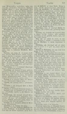 Bild der Seite - 757 - in Lateinisch-Deutsches und Deutsch-Lateinisches Schul-Wörterbuch - Lateinisch-Deutscher Theil