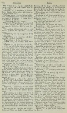 Bild der Seite - 766 - in Lateinisch-Deutsches und Deutsch-Lateinisches Schul-Wörterbuch - Lateinisch-Deutscher Theil