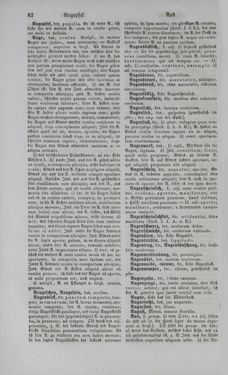 Bild der Seite - 62 - in Lateinisch-Deutsches und Deutsch-Lateinisches Schul-Wörterbuch - Deutsch-Lateinischer Theil