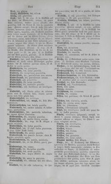 Image of the Page - 311 - in Lateinisch-Deutsches und Deutsch-Lateinisches Schul-Wörterbuch - Deutsch-Lateinischer Theil