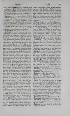 Image of the Page - 505 - in Lateinisch-Deutsches und Deutsch-Lateinisches Schul-Wörterbuch - Deutsch-Lateinischer Theil