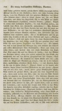 Image of the Page - (000716) - in Legenden der Heiligen auf alle Tage des Jahres - Die Herrlichkeit der katholischen Kirche, dargestellt in den Lebensbeschriebungen der Heiligen Gottes, Volume 2