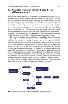 Bild der Seite - 225 - in Loss and Damage from Climate Change - Concepts, Methods and Policy Options