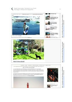 Bild der Seite - 121 - in >mcs_lab> - Mobile Culture Studies, Band 2/2020