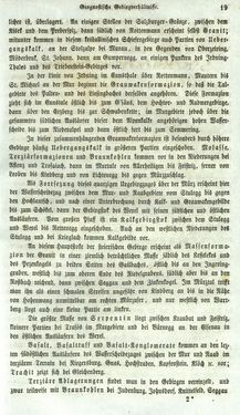 Image of the Page - 19 - in Medizinisch-statistische Topografie des Herzogtumes Steiermark