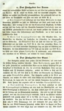 Bild der Seite - 40 - in Medizinisch-statistische Topografie des Herzogtumes Steiermark