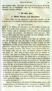 Image of the Page - 73 - in Medizinisch-statistische Topografie des Herzogtumes Steiermark