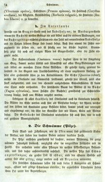 Image of the Page - 74 - in Medizinisch-statistische Topografie des Herzogtumes Steiermark