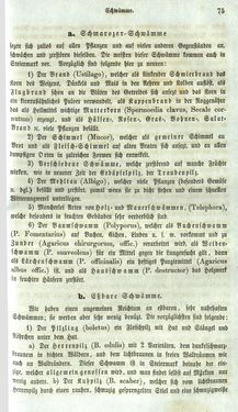 Image of the Page - 75 - in Medizinisch-statistische Topografie des Herzogtumes Steiermark