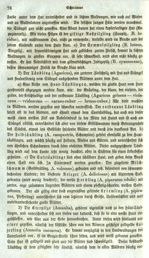 Image of the Page - 76 - in Medizinisch-statistische Topografie des Herzogtumes Steiermark