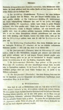 Image of the Page - 77 - in Medizinisch-statistische Topografie des Herzogtumes Steiermark