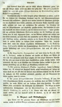 Image of the Page - 78 - in Medizinisch-statistische Topografie des Herzogtumes Steiermark