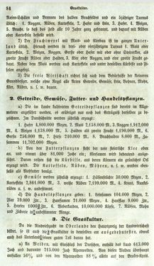Image of the Page - 84 - in Medizinisch-statistische Topografie des Herzogtumes Steiermark
