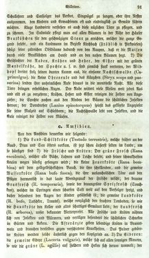 Bild der Seite - 91 - in Medizinisch-statistische Topografie des Herzogtumes Steiermark