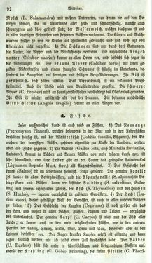 Bild der Seite - 92 - in Medizinisch-statistische Topografie des Herzogtumes Steiermark