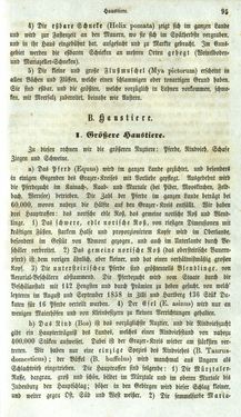 Bild der Seite - 95 - in Medizinisch-statistische Topografie des Herzogtumes Steiermark