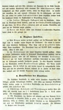 Bild der Seite - 97 - in Medizinisch-statistische Topografie des Herzogtumes Steiermark