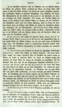 Bild der Seite - 117 - in Medizinisch-statistische Topografie des Herzogtumes Steiermark