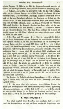 Image of the Page - 317 - in Medizinisch-statistische Topografie des Herzogtumes Steiermark