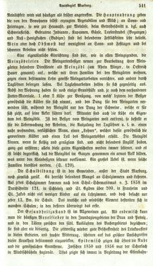Image of the Page - 541 - in Medizinisch-statistische Topografie des Herzogtumes Steiermark