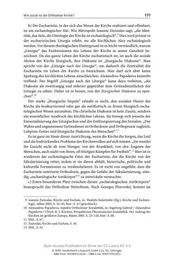Bild der Seite - 177 - in Menschenrechte und Gerechtigkeit als bleibende Aufgaben - Beiträge aus Religion, Theologie, Ethik, Recht und Wirtschaft