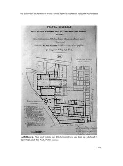 Image of the Page - 203 - in Musiktheater im höfischen Raum des frühneuzeitlichen Europa - Hof – Oper – Architektur