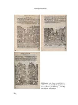 Bild der Seite - 234 - in Musiktheater im höfischen Raum des frühneuzeitlichen Europa - Hof – Oper – Architektur