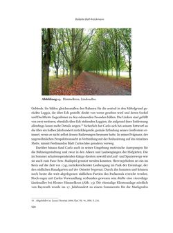 Image of the Page - 528 - in Musiktheater im höfischen Raum des frühneuzeitlichen Europa - Hof – Oper – Architektur