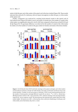Bild der Seite - 24 - in Advances in Neuroimmunology