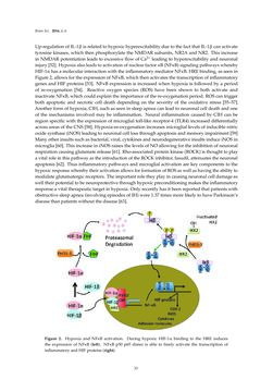 Bild der Seite - 33 - in Advances in Neuroimmunology