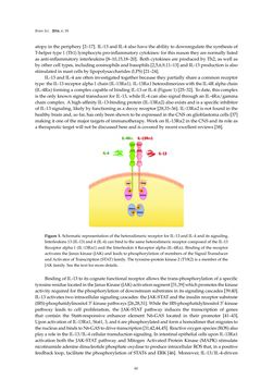 Bild der Seite - 44 - in Advances in Neuroimmunology