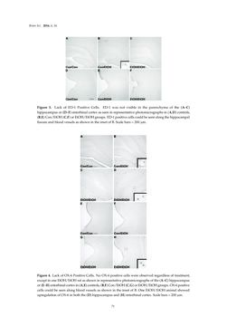 Image of the Page - 71 - in Advances in Neuroimmunology