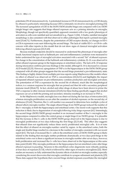 Bild der Seite - 75 - in Advances in Neuroimmunology