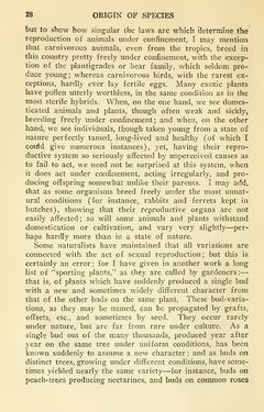 Image of the Page - 28 - in The Origin of Species