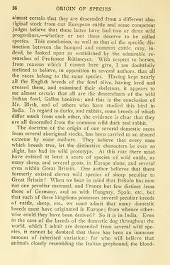 Image of the Page - 36 - in The Origin of Species