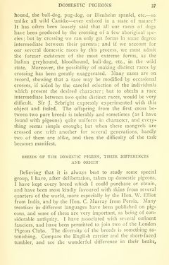 Image of the Page - 37 - in The Origin of Species