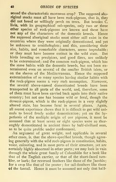 Image of the Page - 40 - in The Origin of Species