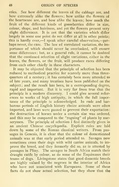 Image of the Page - 48 - in The Origin of Species